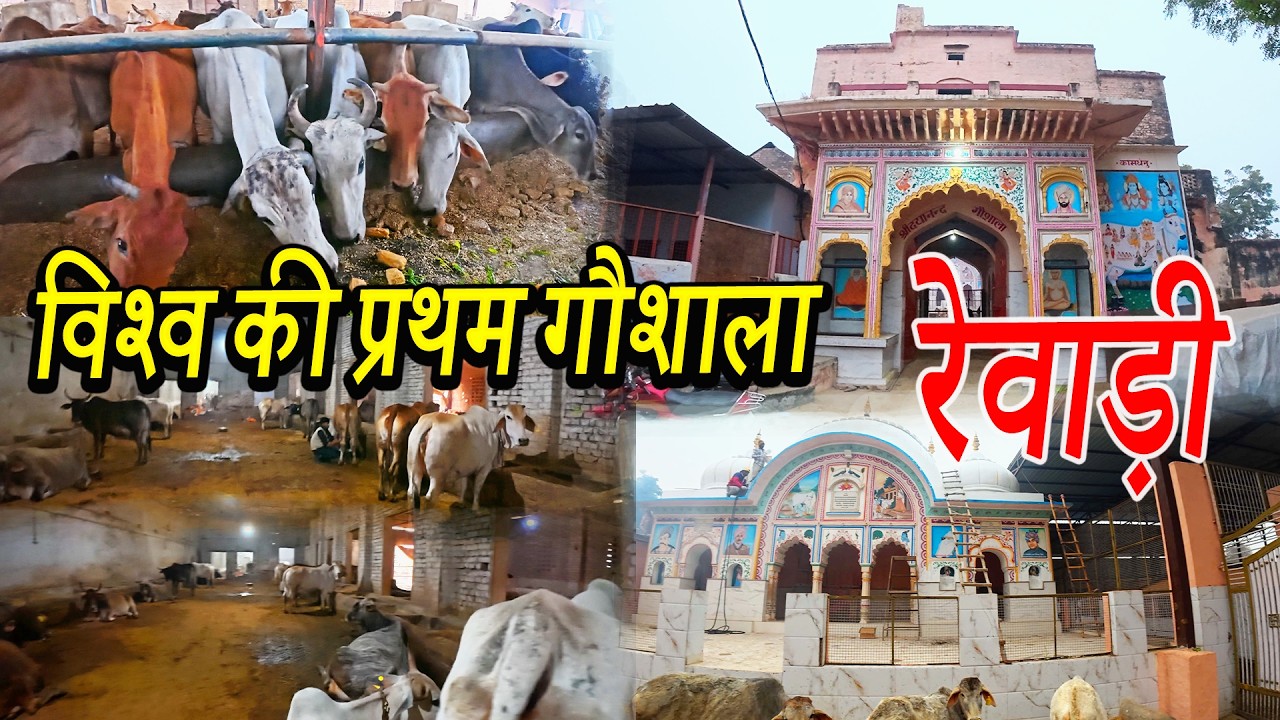 विश्व की प्रथम गौशाला | The world's first cow shelter | भारत की पहली गौशाला बनाम आधुनिक पशु आश्रम