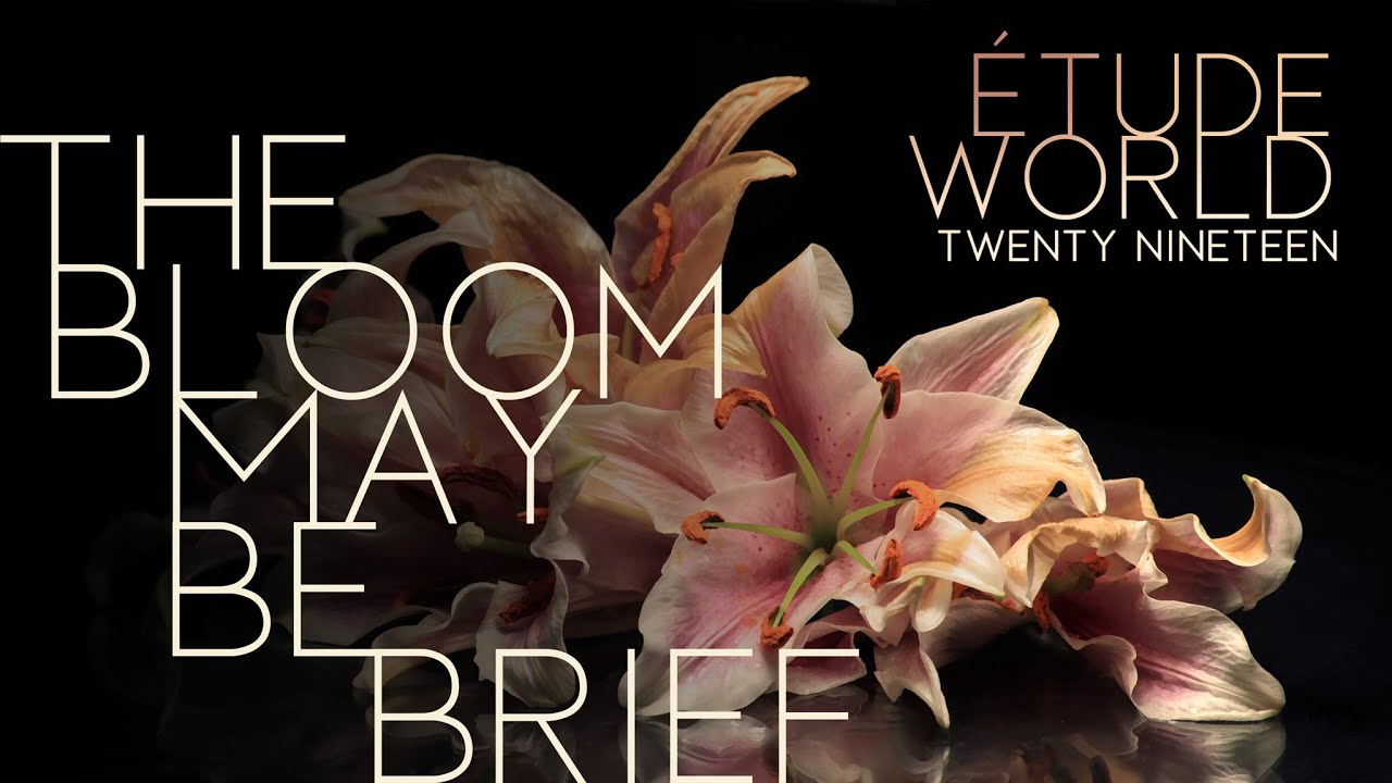 Etude World Winterguard 2019: The Bloom May Be Brief
