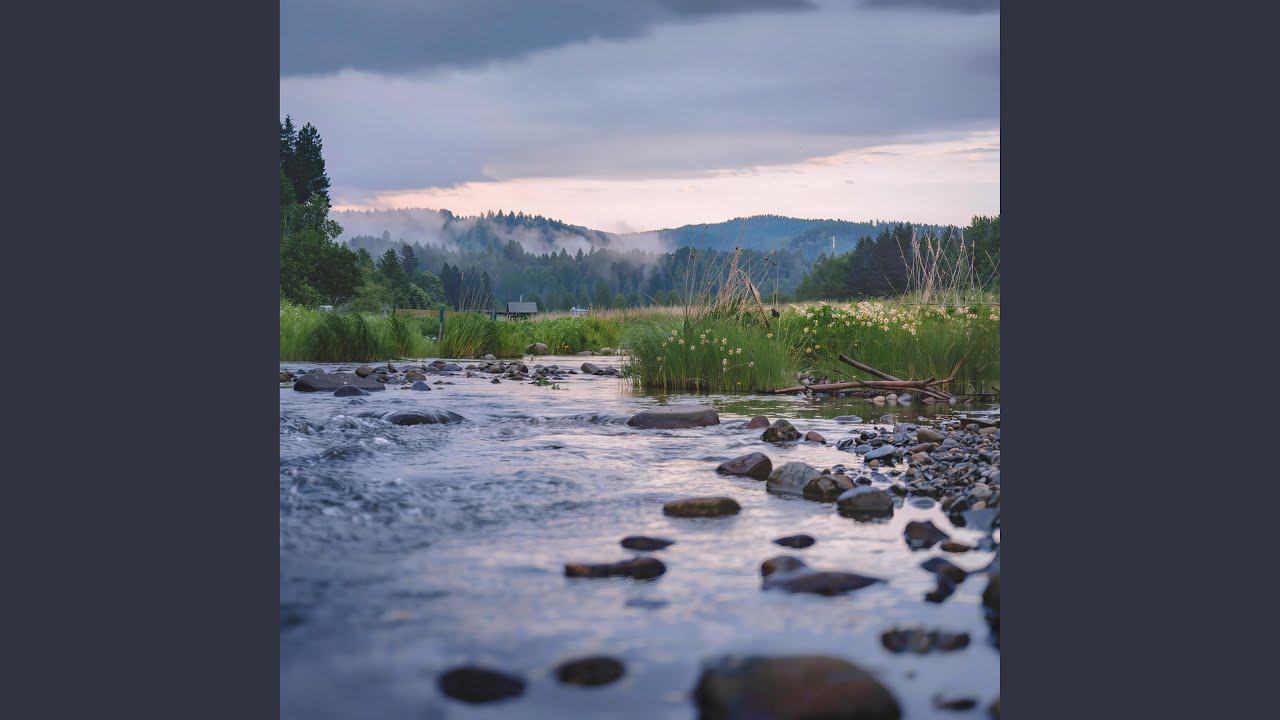 After the rain