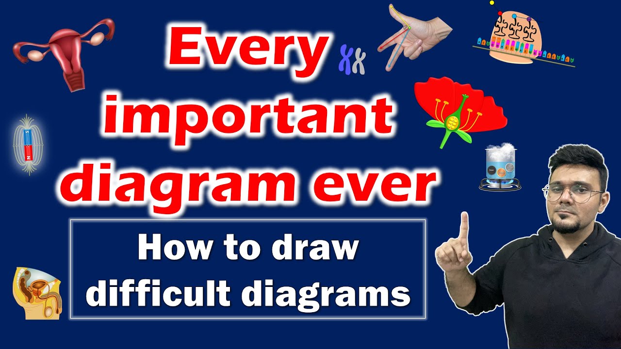 Every important diagram ever | How to draw difficult diagrams | SSC Class 10 | Maharashtra state