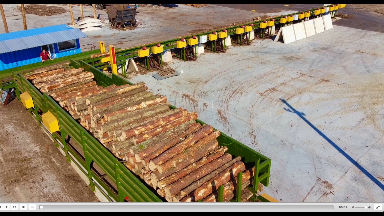 DIAMETRAS I RRL01-8 Rąstų rūšiavimo linija I Log sorting line