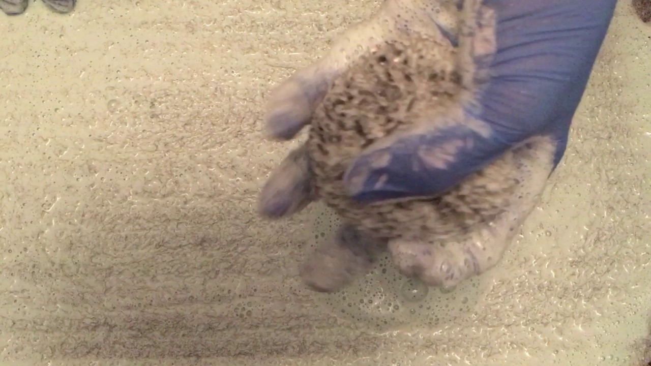 Abrasive Carpet Scrubbing ((Upclose))