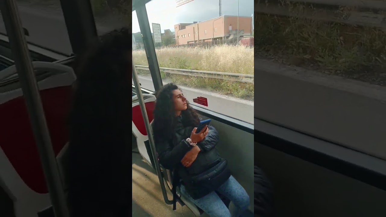 Autobus Roma ATAC linea 341 bene/Lionello fino Fucini/davanzati quella nuova vuoto corre graffiati