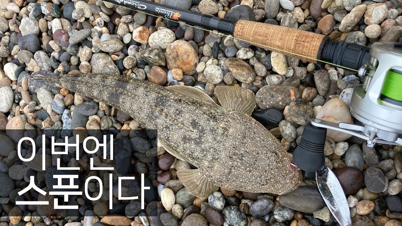 스푼으로 잡는 플랫피쉬, 울진, 영덕 투어, 해변 루어낚시, 지그헤드