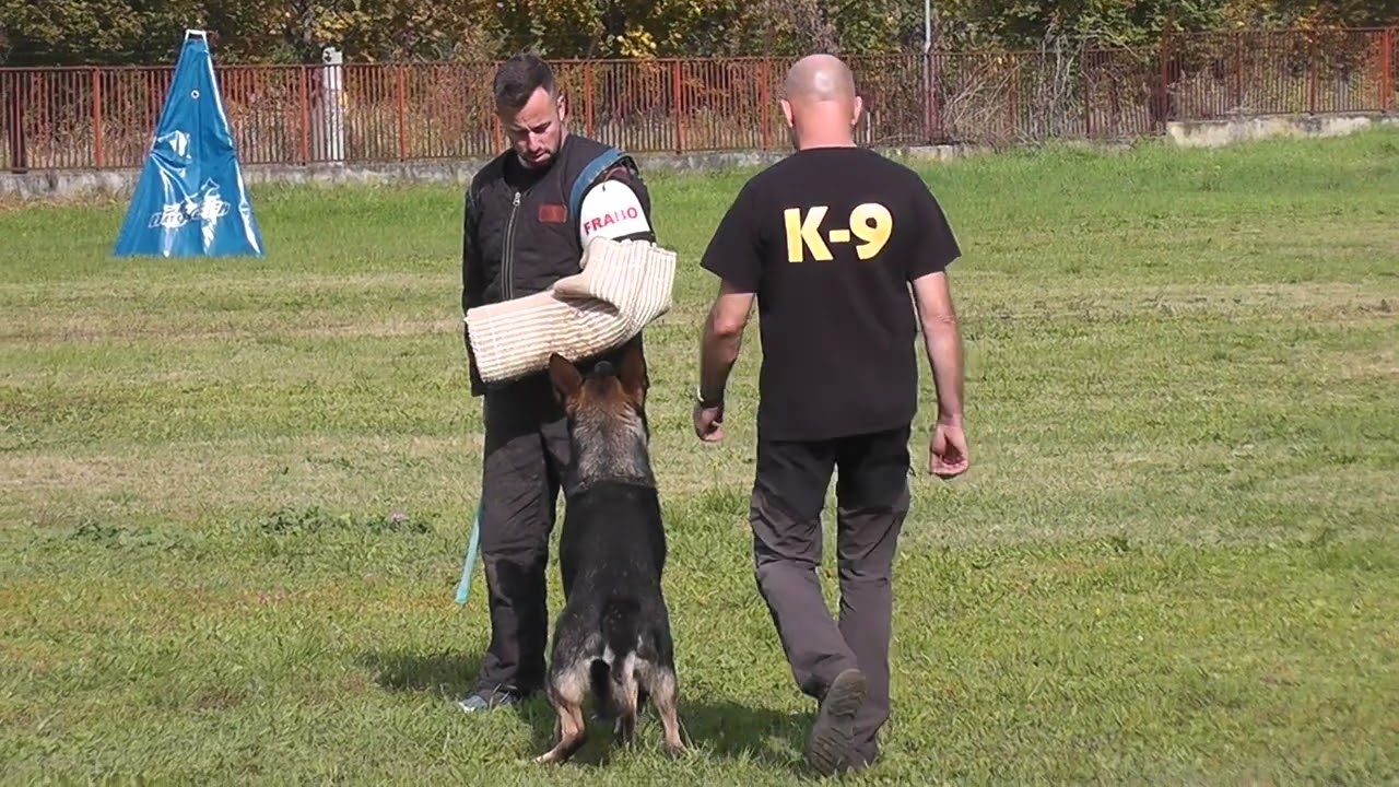 IGP 3 őrző-védő