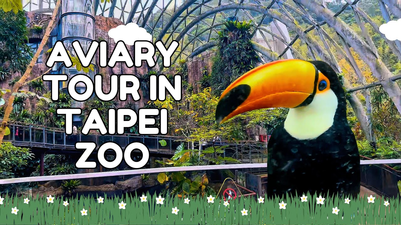 Aviary Tour in Taipei Zoo, Taiwan