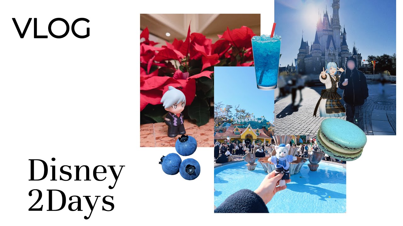 【VLOG】ぬいたちを連れてクリスマスディズニーに行った2日間