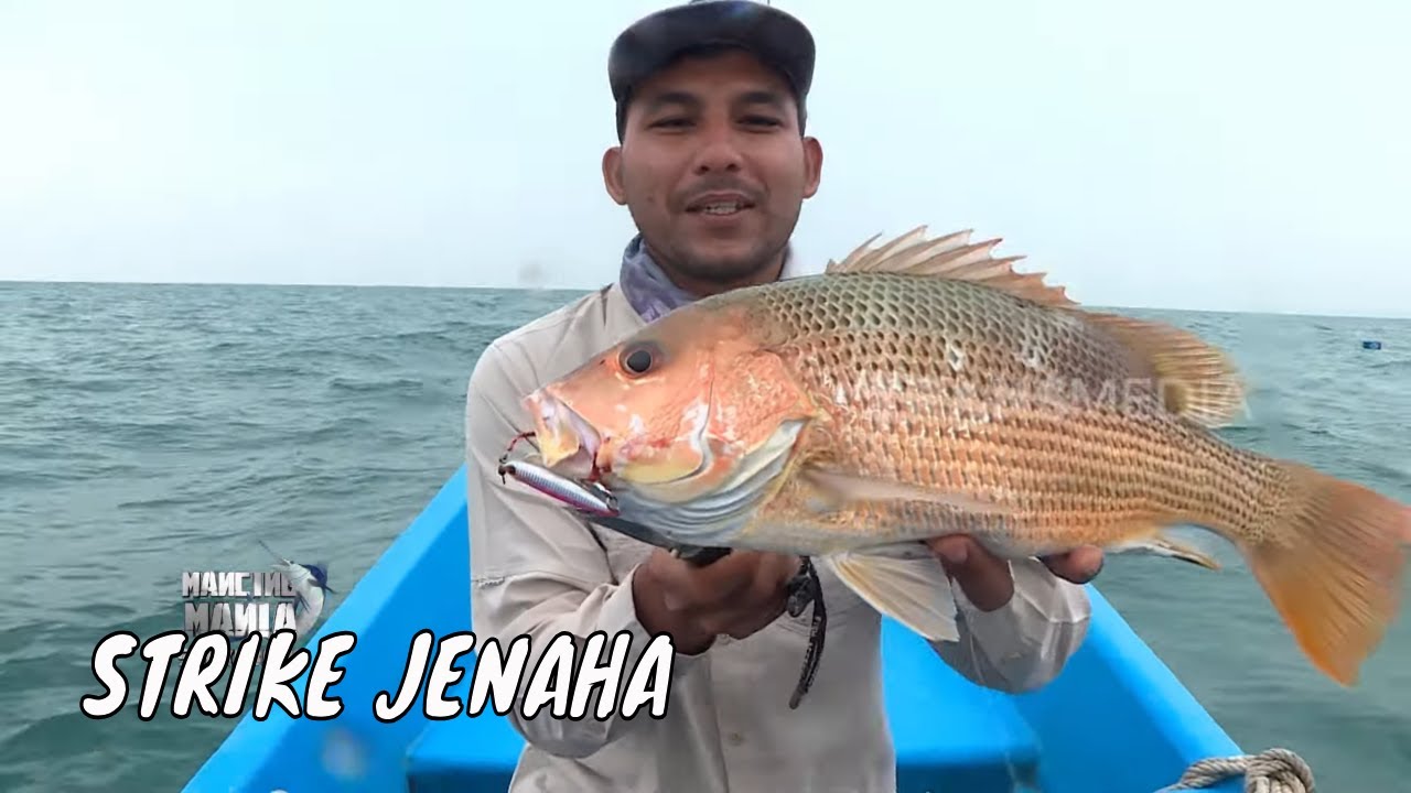 Sensasi Sambaran Jenaha Penghuni Perairan Batang | MANCING MANIA STRIKE BACK (24/08/25) Part 2