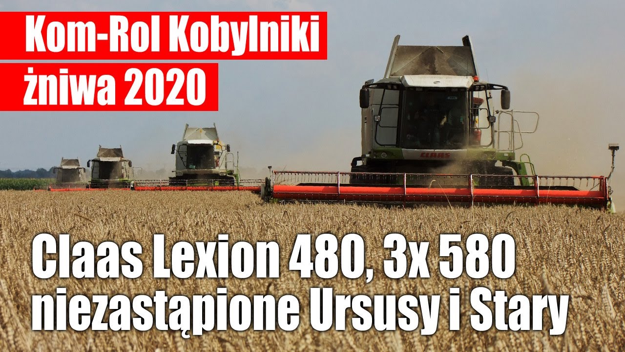 Żniwa 2020 w Kom-Rol. Claas Lexion 480, 3x 580 + niezastąpione Ursusy i Stary – TO WARTO ZOBACZYĆ!