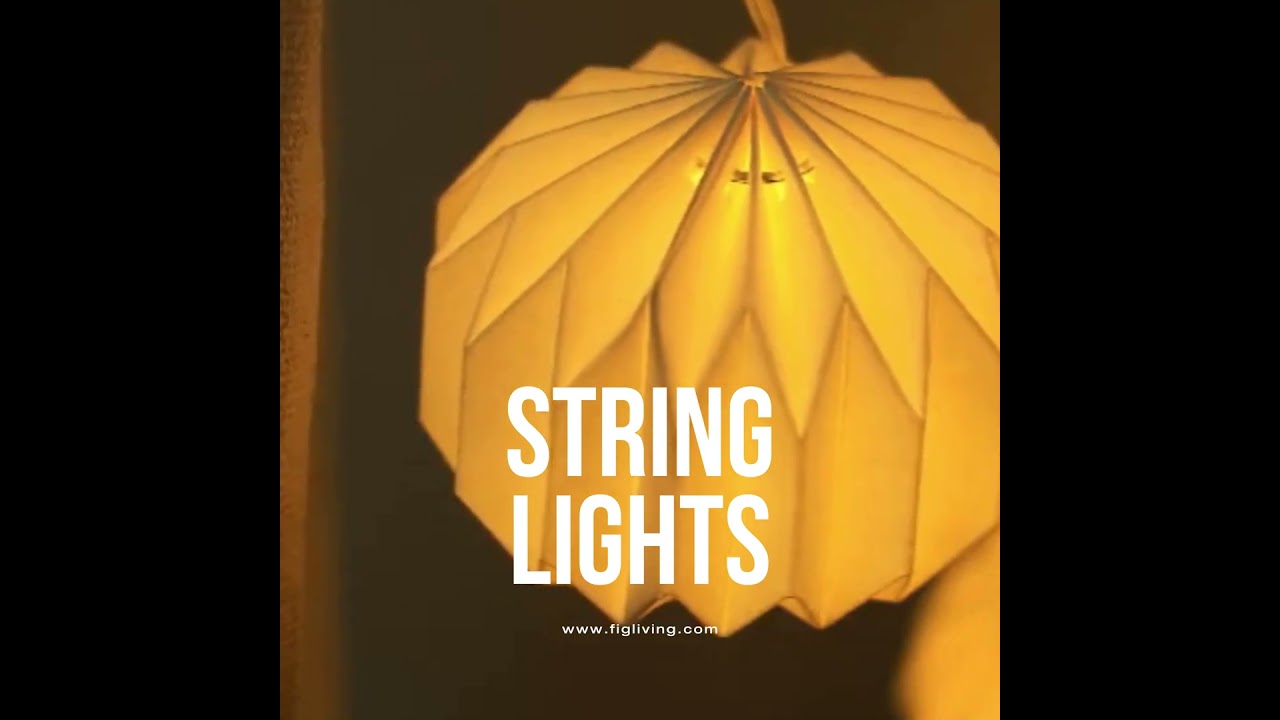 String Lights | FIG Living