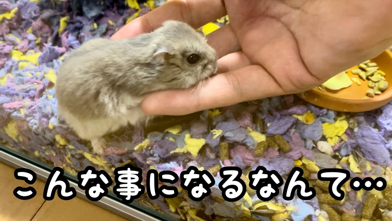 不測の事態が発生してしまいました
