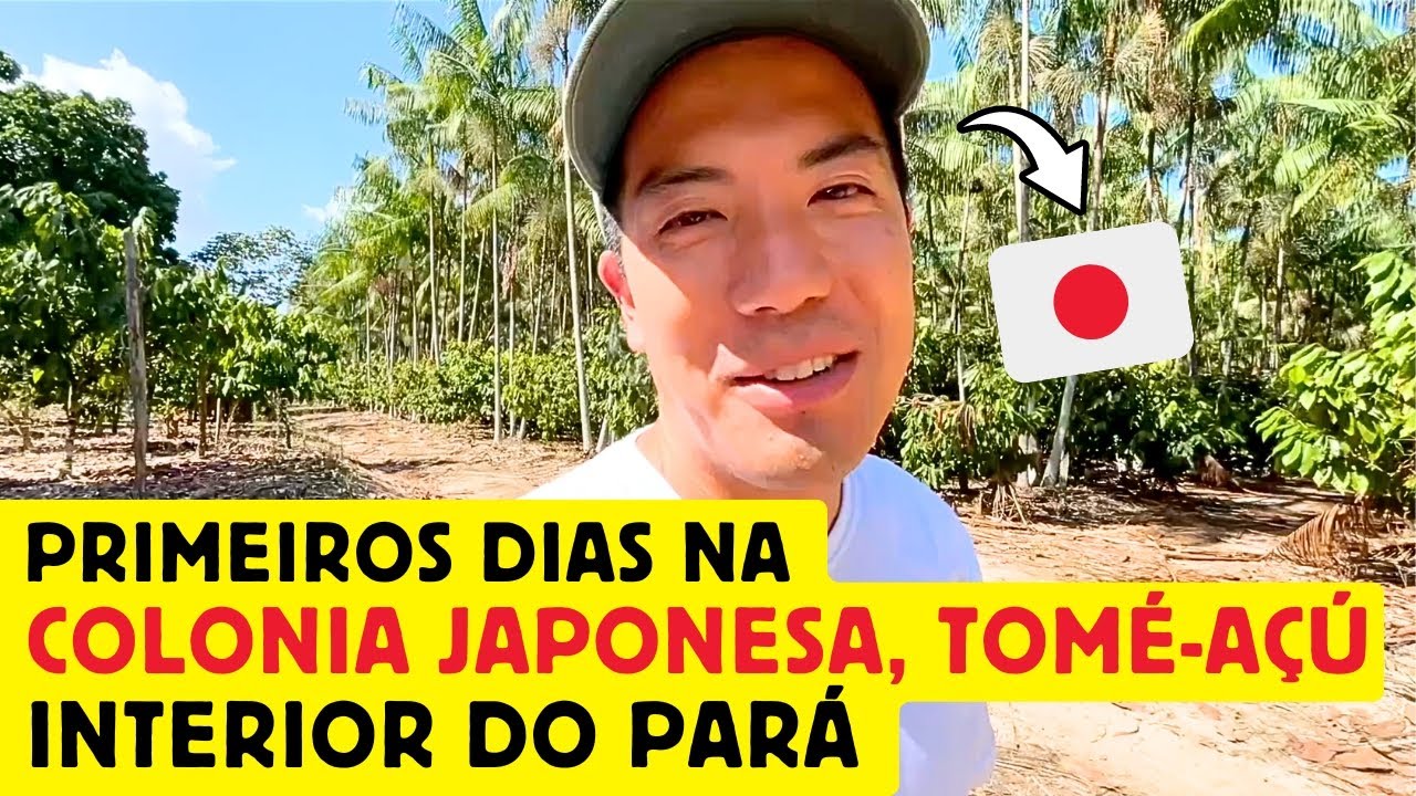 Primeiros dias de um japonês na colônia japonesa em Tomé-Açu, interior do Pará