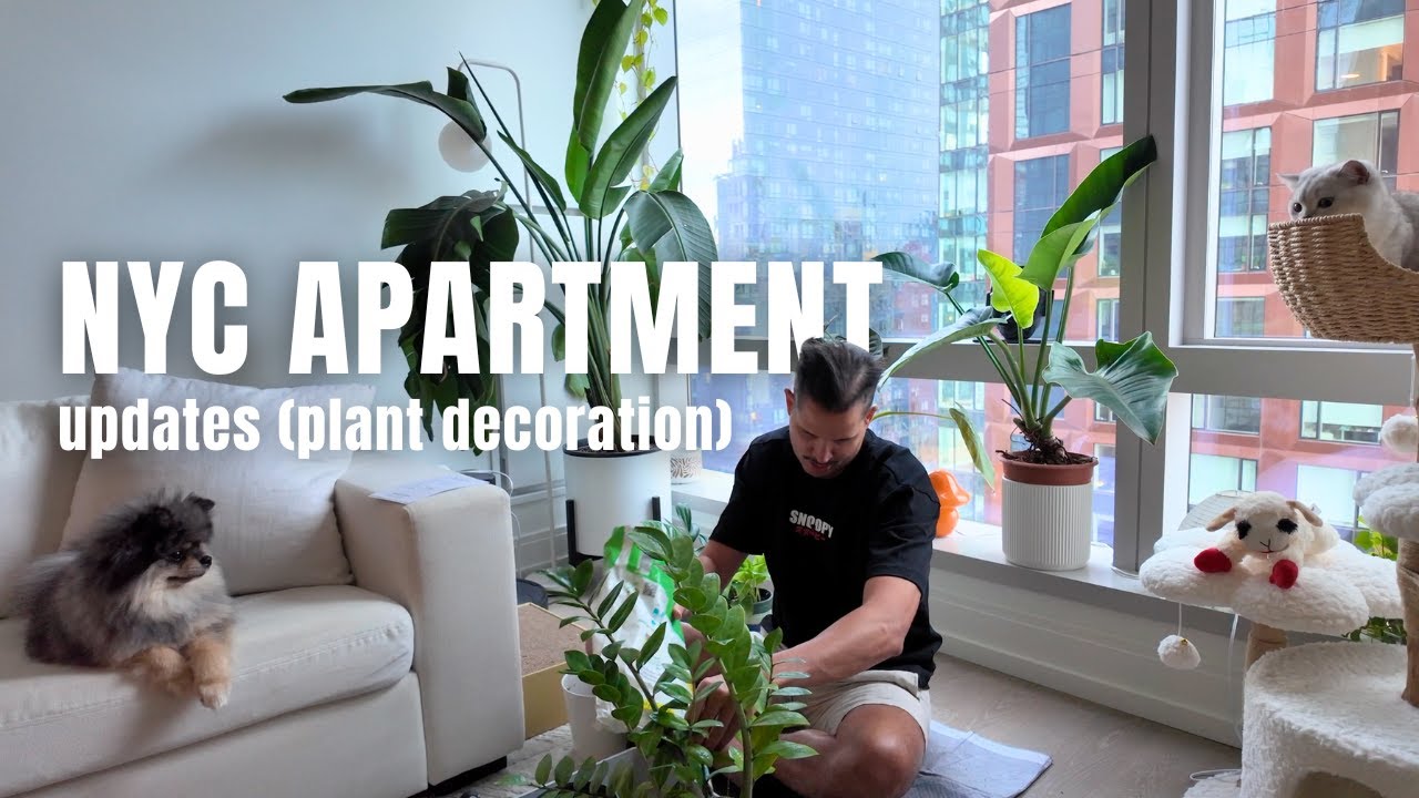 Bringing life into our NYC apartment with plants