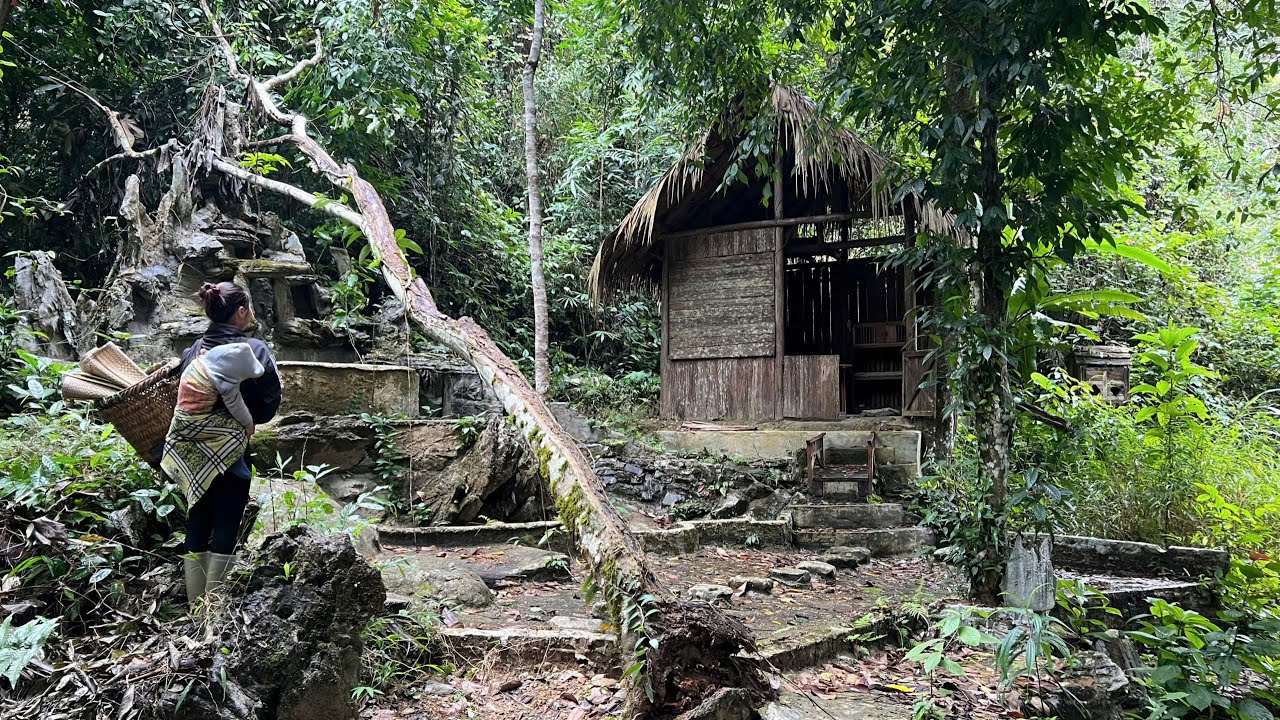 She Found an Abandoned House in Nature – How Did She Survive There?