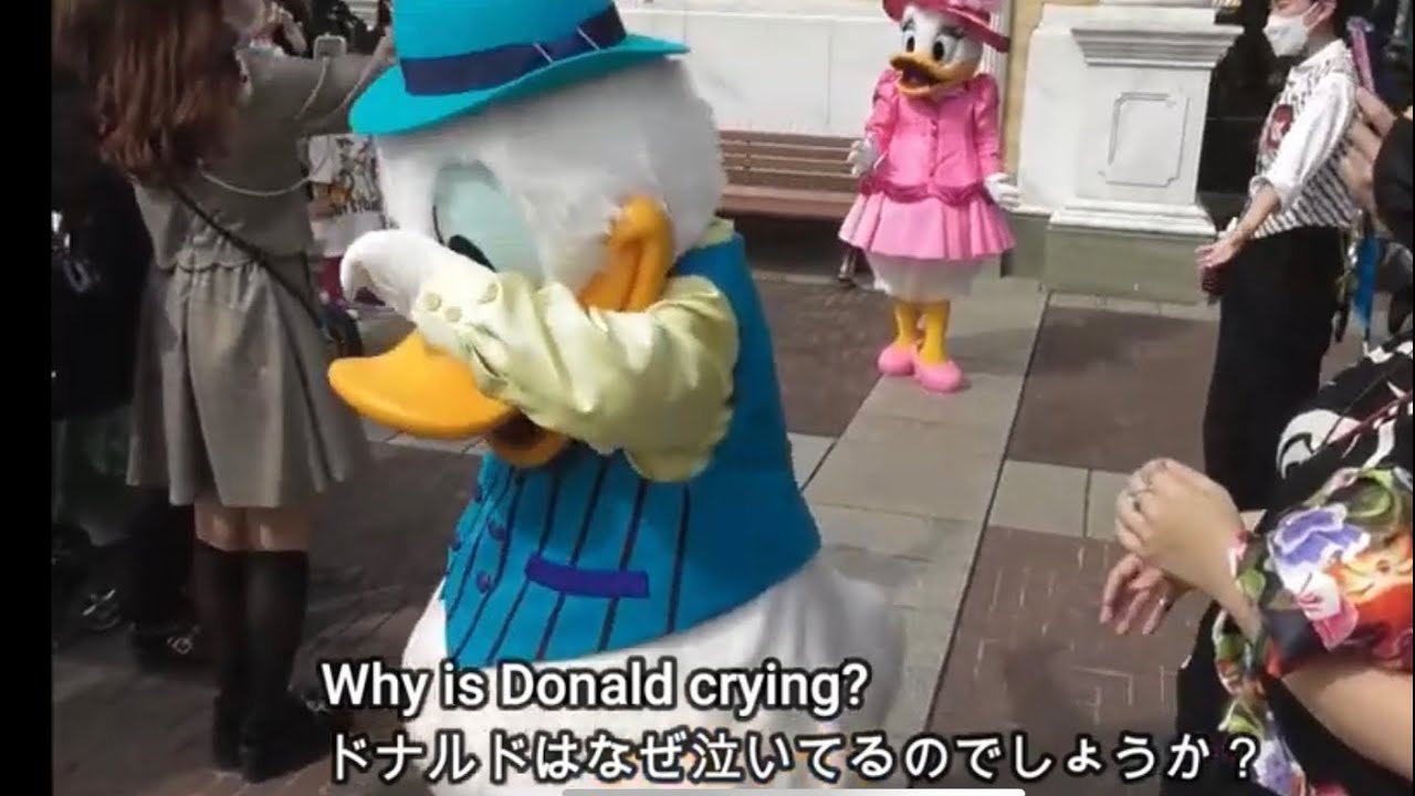 ドナルドはなぜ泣いているのか?? Why Donald Duck crying? ディズニーシー・グリーティング Disneyland Tokyo