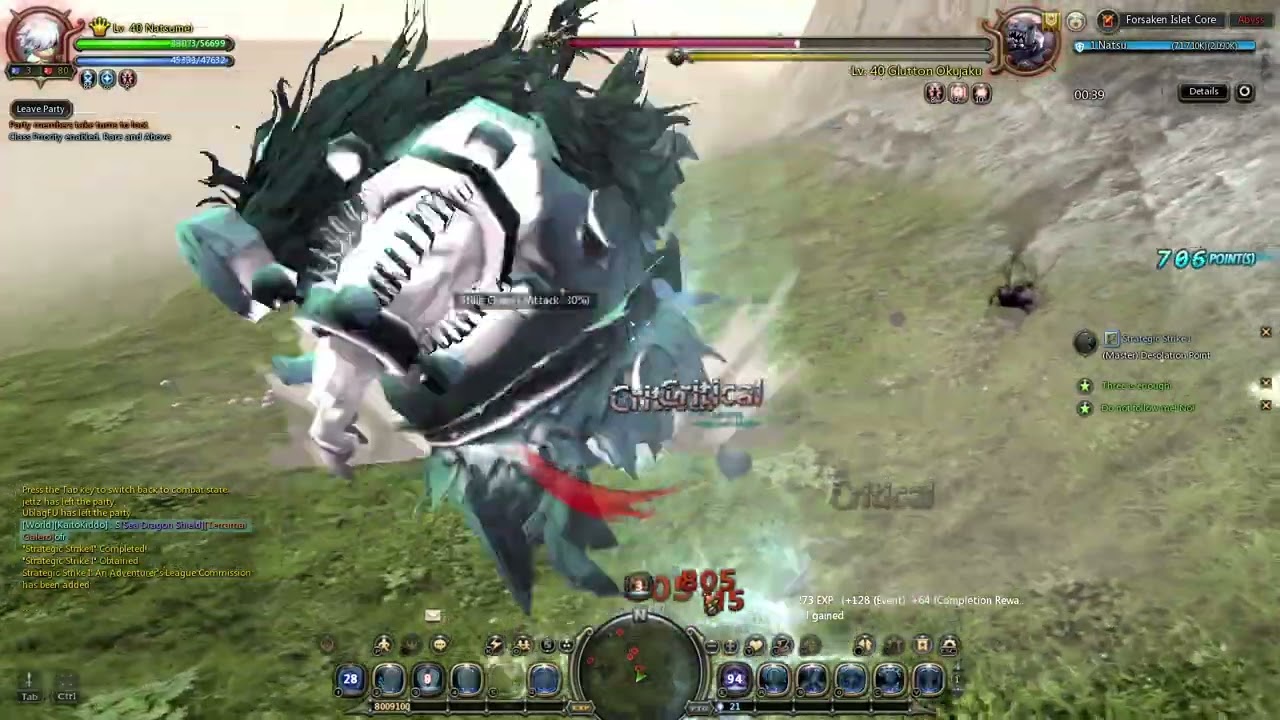 PALADIN DPS Build Solo Invader Okujaku Dragon Nest Sea Classic