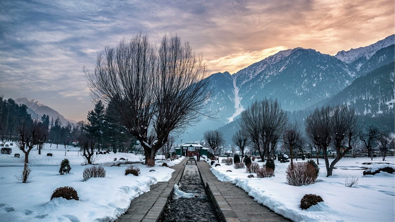 Gentle Chinese Relaxing Music 🌿 Guzheng, Dizi & Erhu | Calm Traditional Ballad for Stress Relief