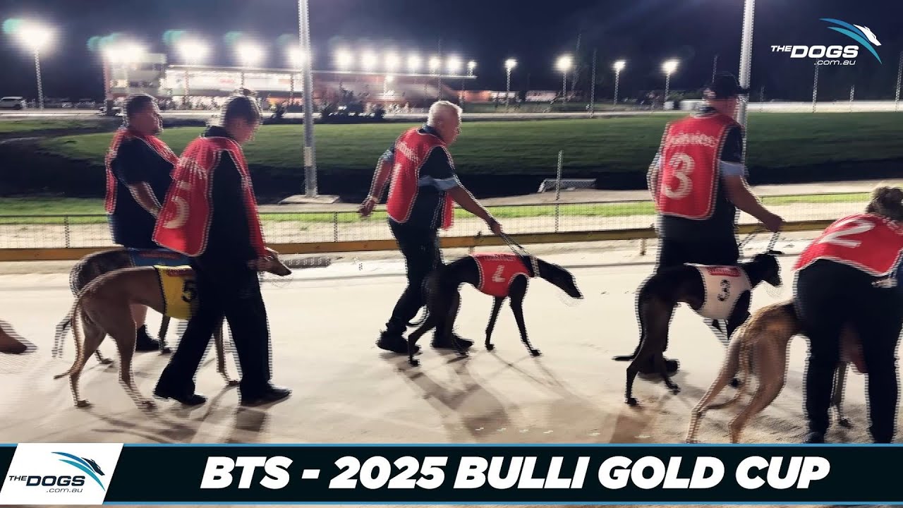 2025 Bulli Gold Cup - BTS Good Odds Cobber