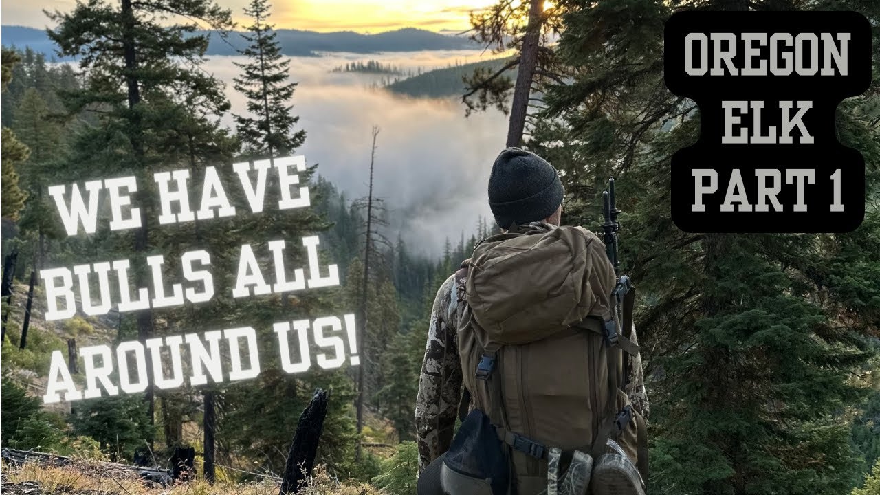 2023 OREGON ARCHERY ELK: PART 1 OF 5