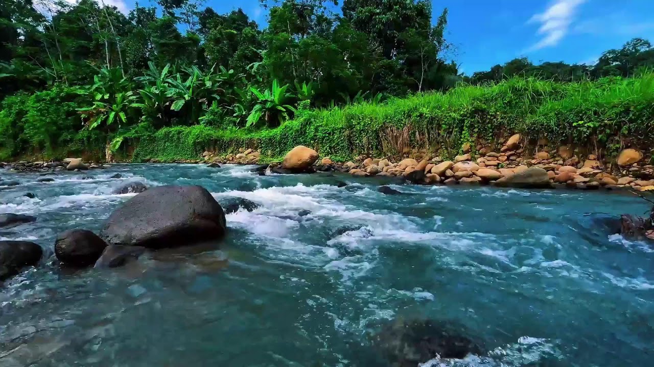 Serene River Sounds for Deep Sleep 🌙 Relaxing Flowing Water for Study & Meditation