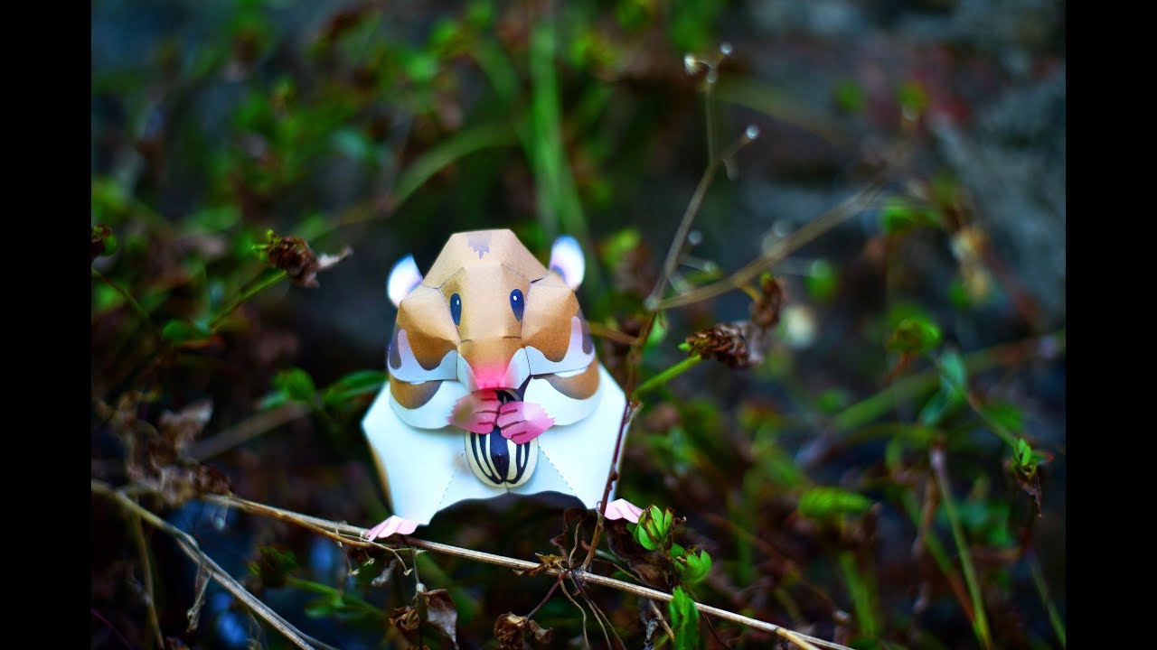 How to make a Hamster with paper | DIY 3D Paper Craft