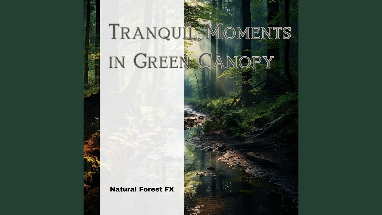 River in the Forest