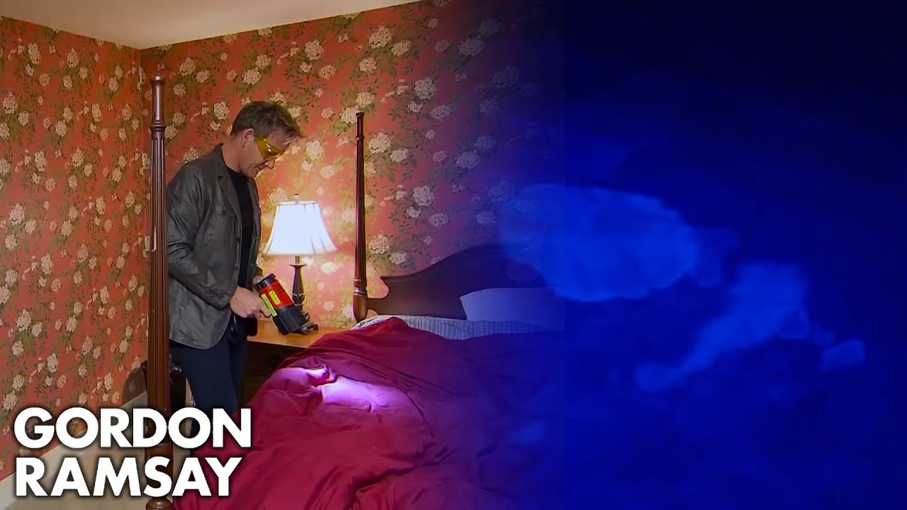 Gordon Ramsay Uses A Black Light In His Hotel Room | Hotel Hell
