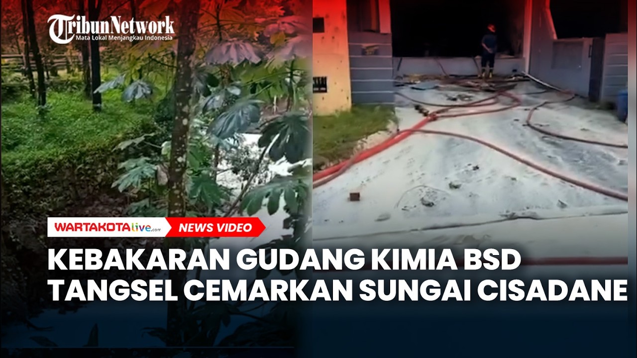 Kebakaran Gudang Kimia BSD Tangsel Cemarkan Sungai Cisadane