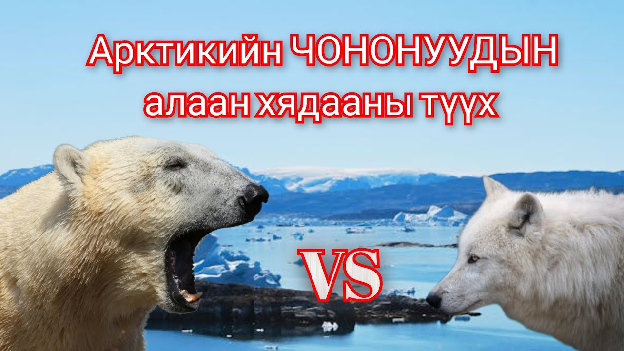 Арктикийн эзэн ЦАГААН ЧОНОНУУДЫН түүх дэлхийг донсолгосон түүхүүд цувралаас монгол хэлээр 