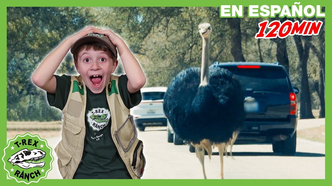 ¡Dinosaurio Gigante vs Mascota Misteriosa! 🦖🐶 Aventura Animal | 🦖 T-Rex Rancho | Moonbug Kids