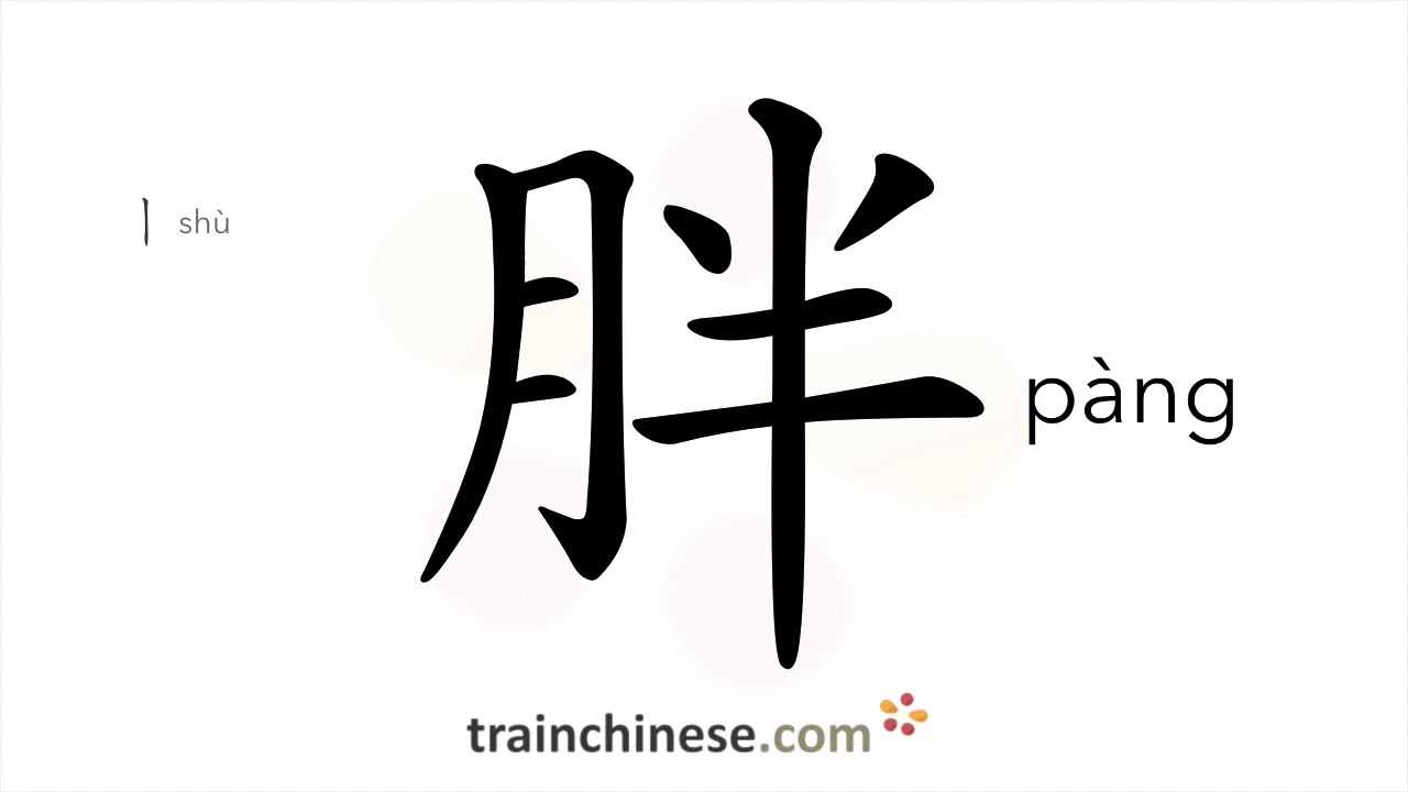 How to write 胖 (pàng) – fat – stroke order, radical, examples and spoken audio