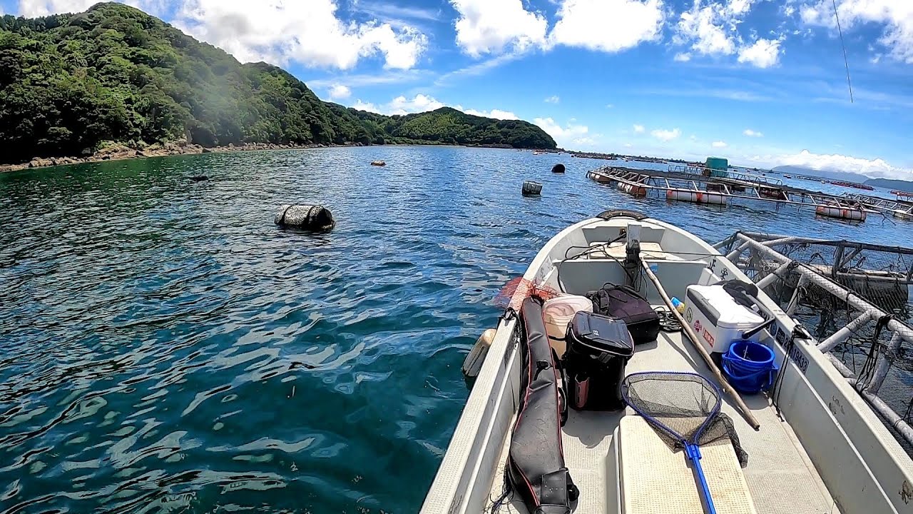 真夏のカセ釣り！養殖イケス周りで大物を狙ったら爆釣した… 【夢のロクマル #4】