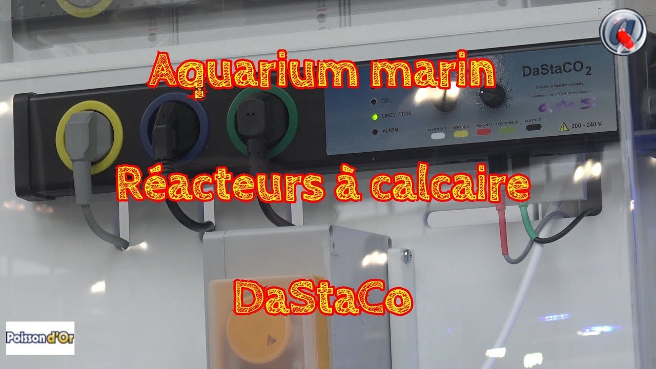 Aquarium marin   Réacteurs à calcaire DaStaCo