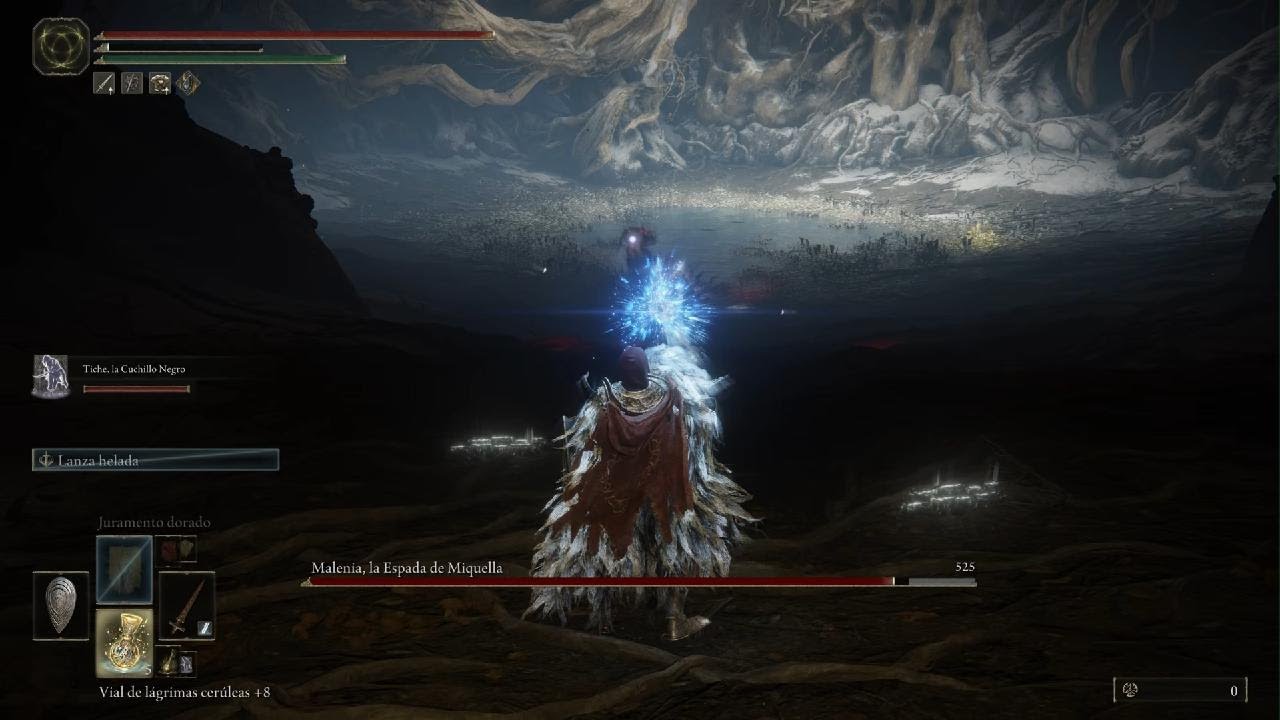 ELDEN RING Malenia tries