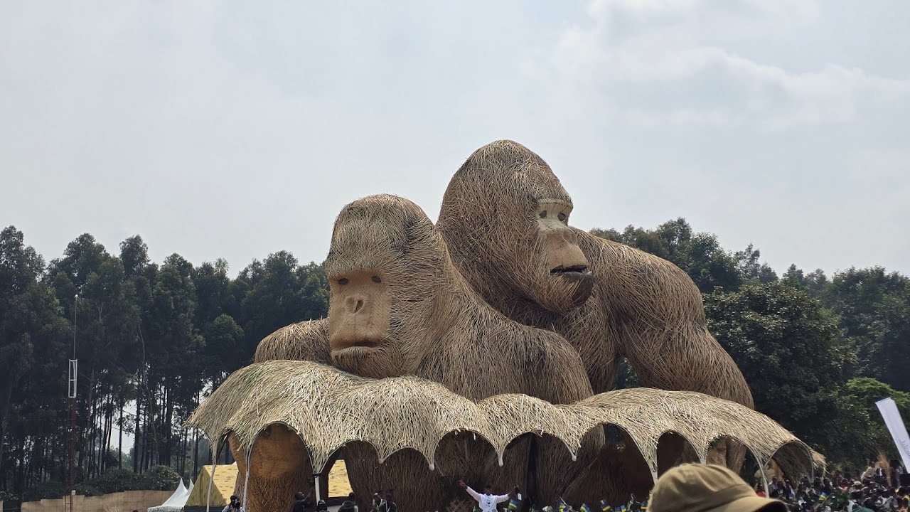 Kwita Izina Day 3 - The Main Event and home coming