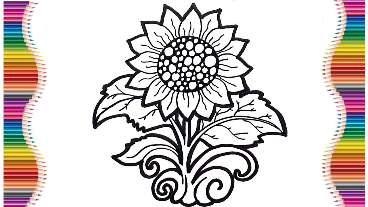 Cara Menggambar Bunga Matahari 🌻 | Menggambar Bunga Cantik dan Mudah