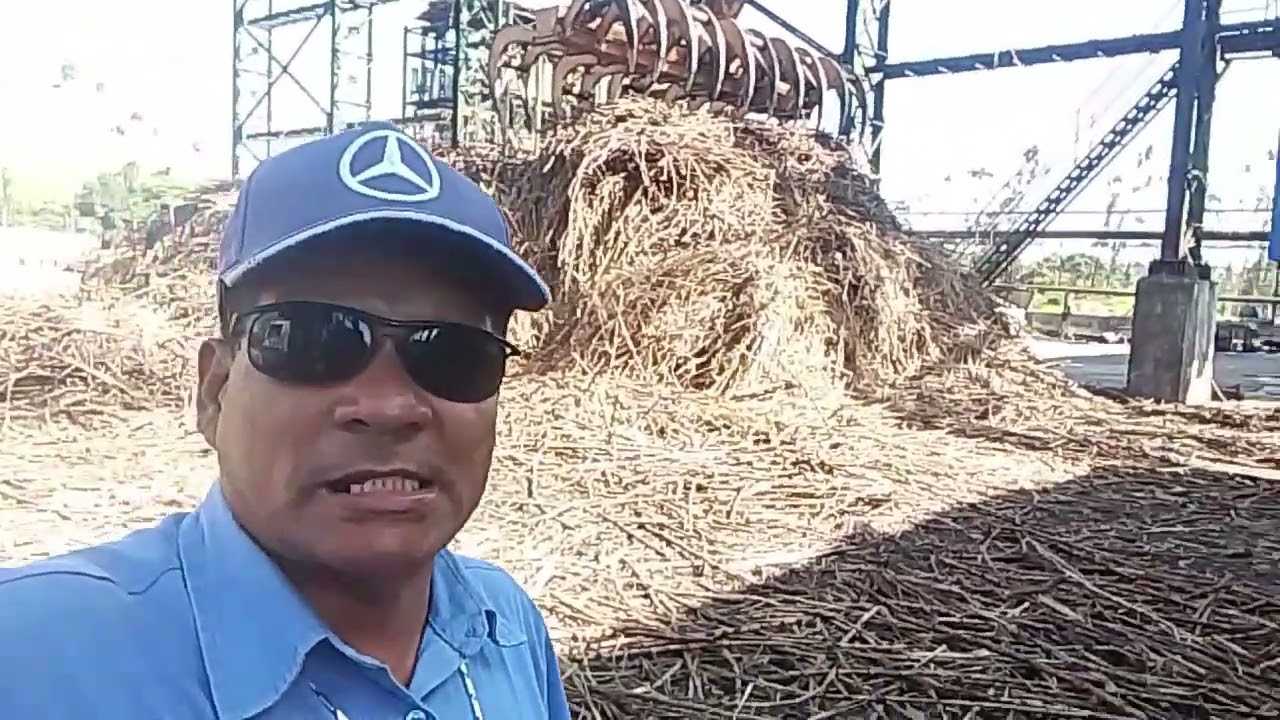 CANAL CICERO PRANCHETA DIRETO DÁ USINA SANTA MARIA PORTO CALVO AL 25 02 26 👏👏