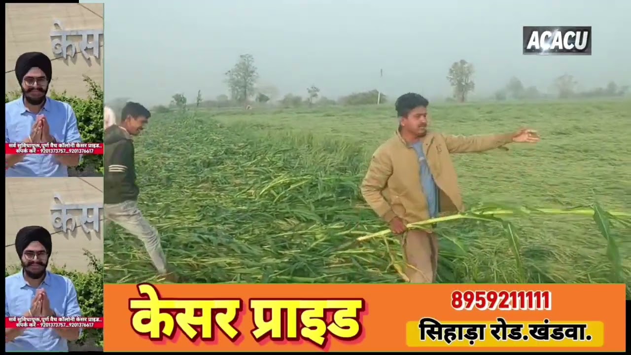चारों तरफ तबाही देखकर रो दिए किसान. खंडवा कलेक्टर से जल्द सर्वे की किसान संगठनों ने की मांग 