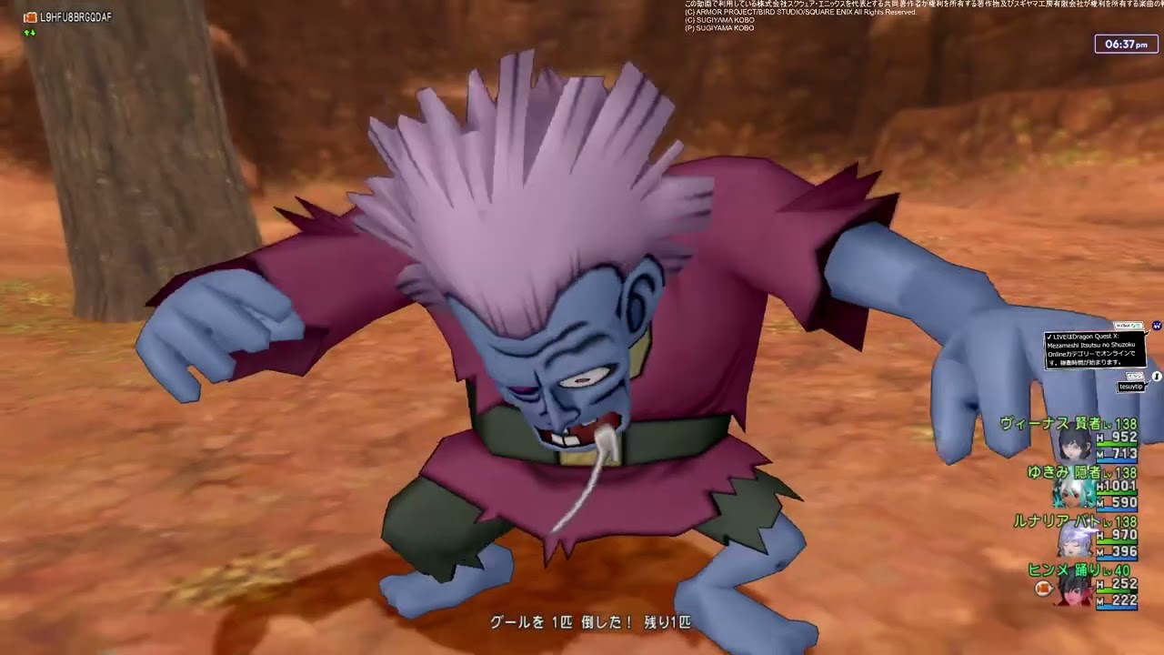 DQXをマイペースにやっていく