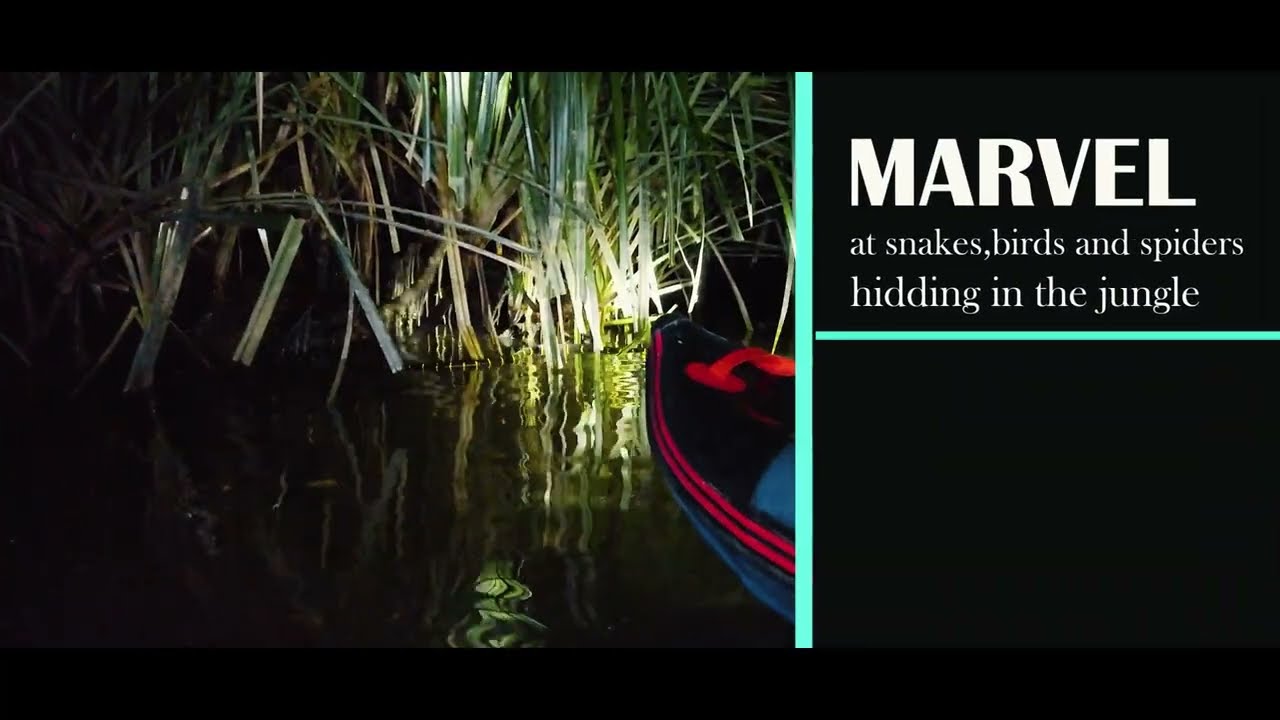 Go Travel Phuket - Night Safari