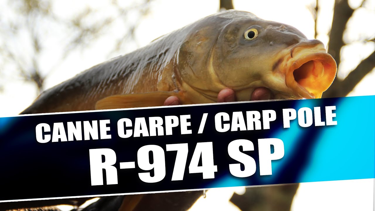 CANNE A CARPE - RIVE R-974 SP