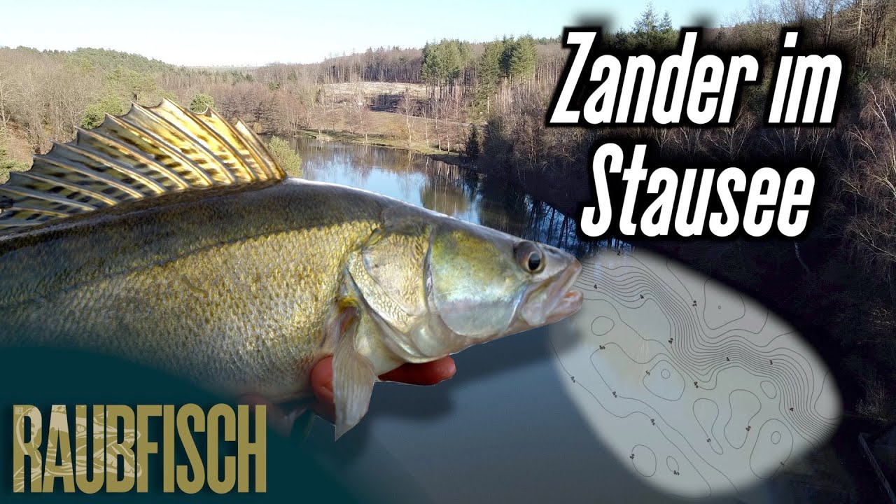 Winterzander: flach oder tief angeln?