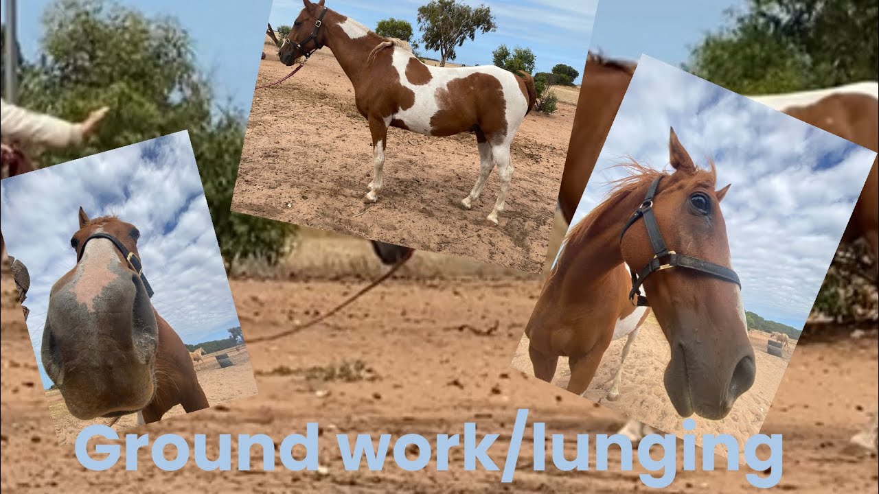Spicy 🌶️ lunging* with the devil!🎠🤠🐴