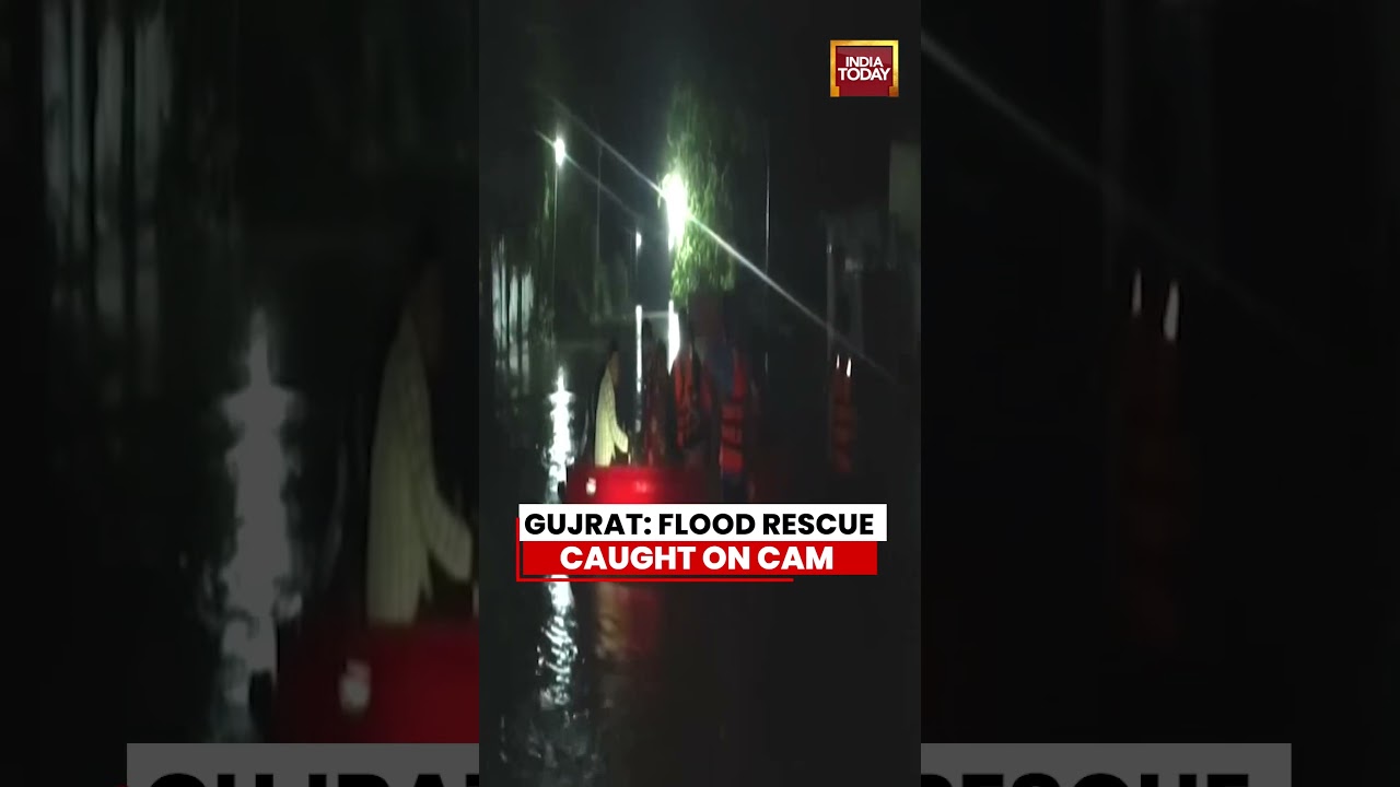 Gujrat News: Three People Rescued After Getting Trapped in Heavy Rainfall in Gujarat #gujrat