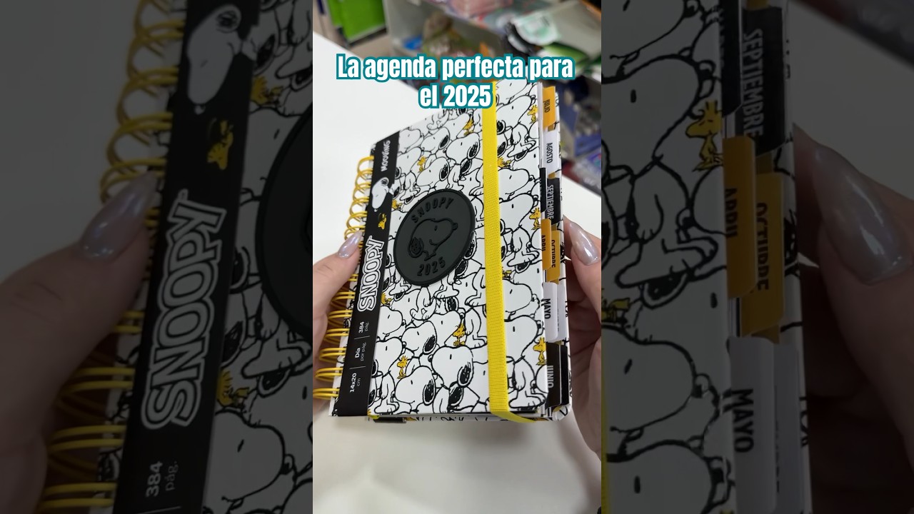 La agenda perfecta si existe! Es la agenda de snoopy de 2025 #agendas #snoopy #organizacion