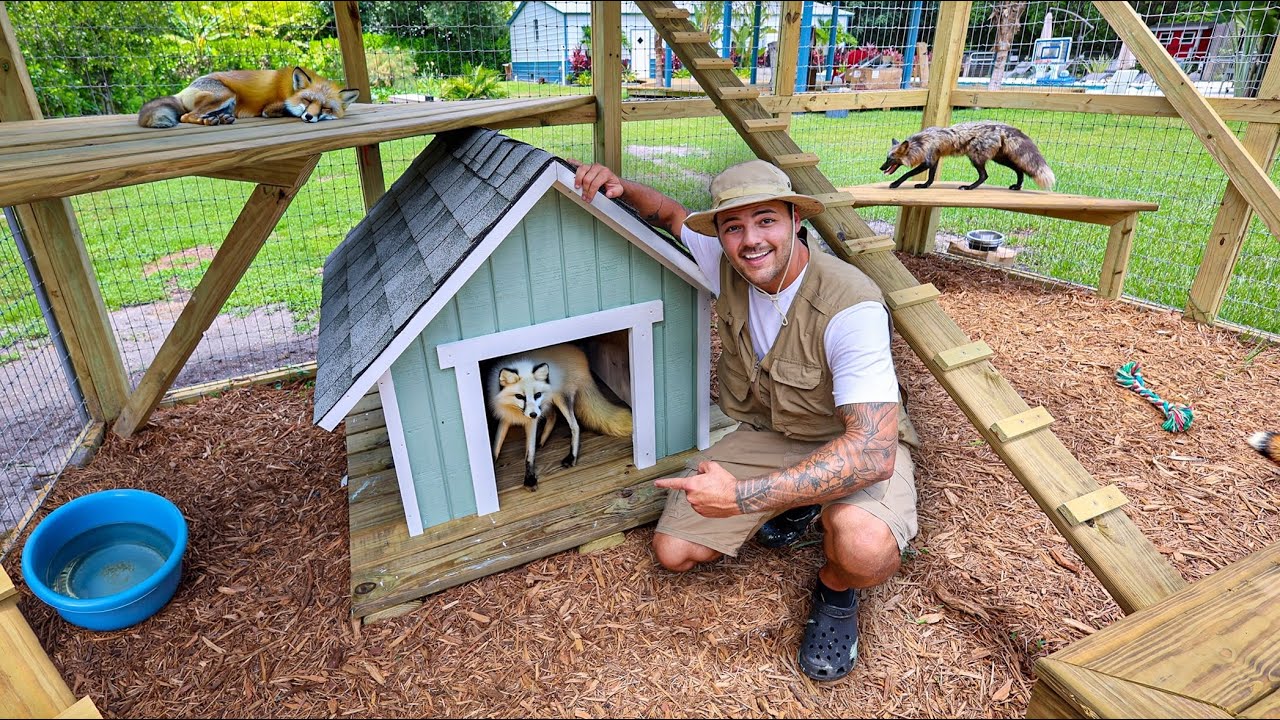 My Pet FOXES are FINALLY at the Farm!!