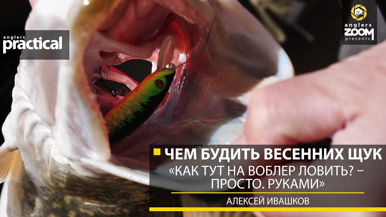 Чем будить весенних щук. &laquo;Как тут на воблер ловить? &ndash; Просто. Руками&raquo;. А. Ивашков. Anglers Practical