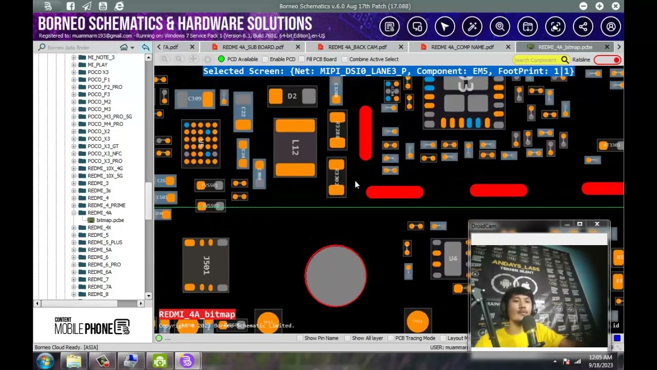 riview borneo schematic