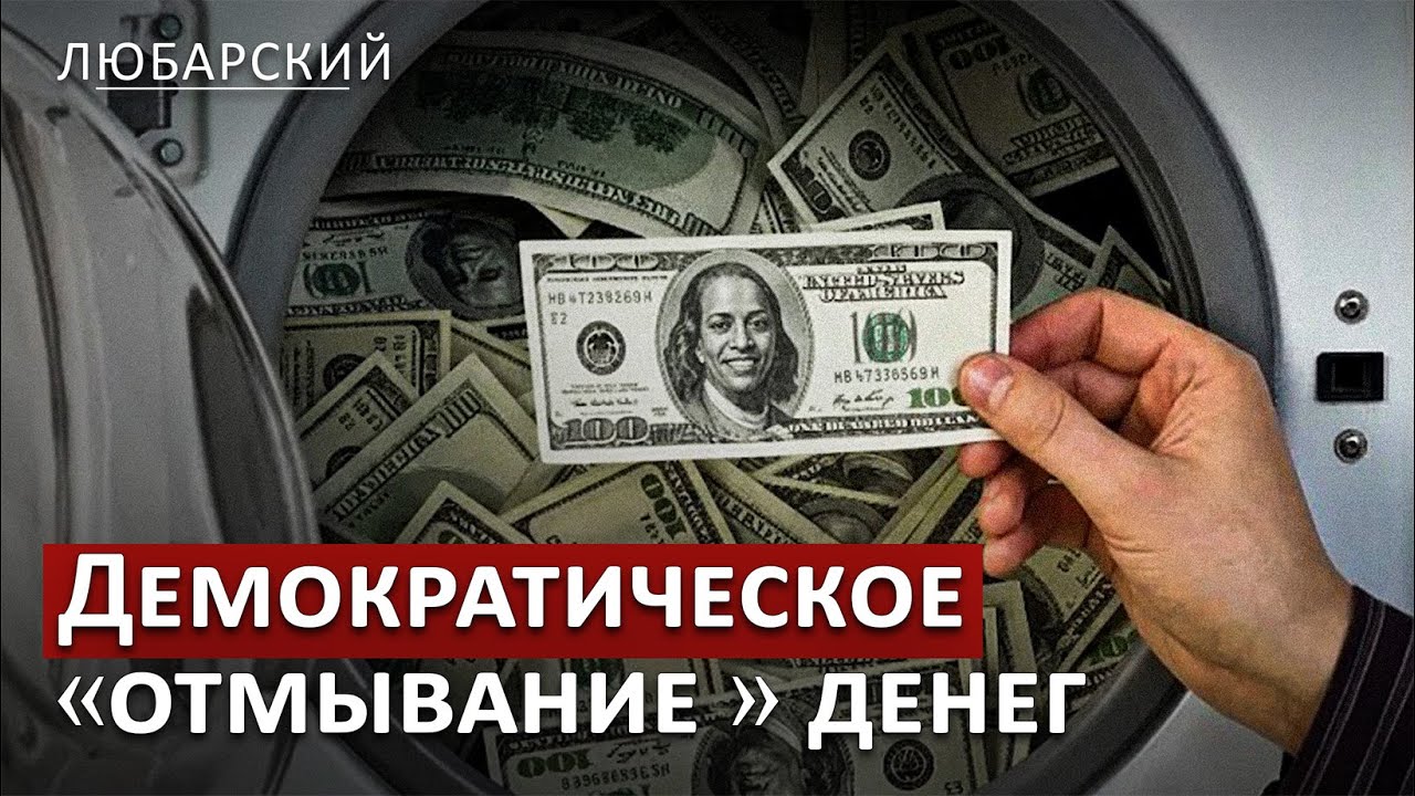 Фиктивные фирмы против ICE: Расследование