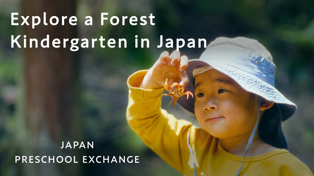 Explore a Forest Kindergarten in Japan｜Outdoor Play, Life Skills & Japanese Meals｜Preschool Exchange